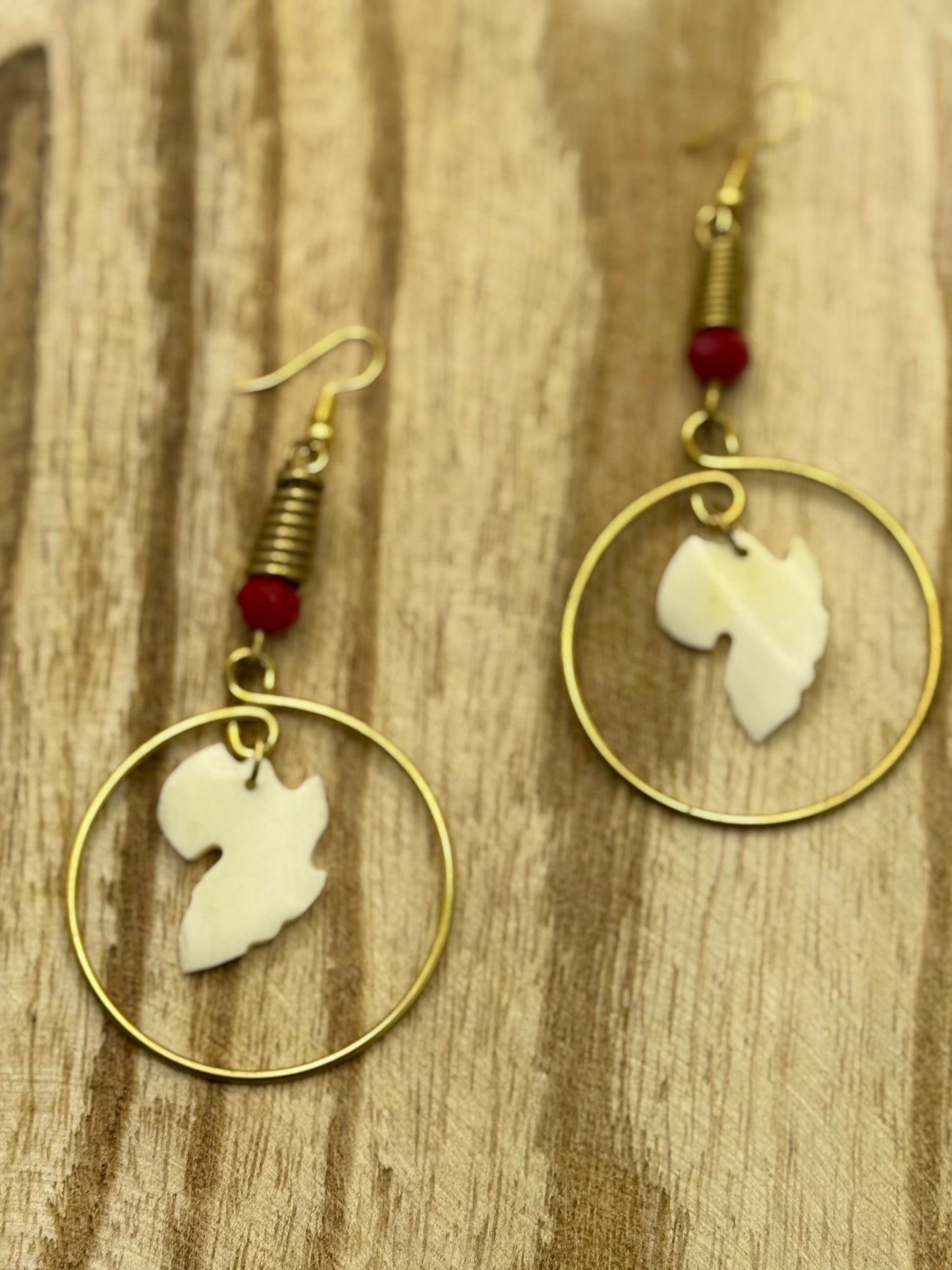 Circle of Africa Earrings